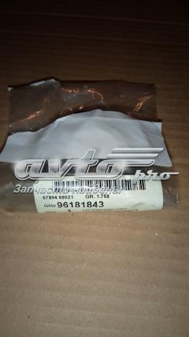 Comprar 96181843 General Motors Tapa de aceite de motor