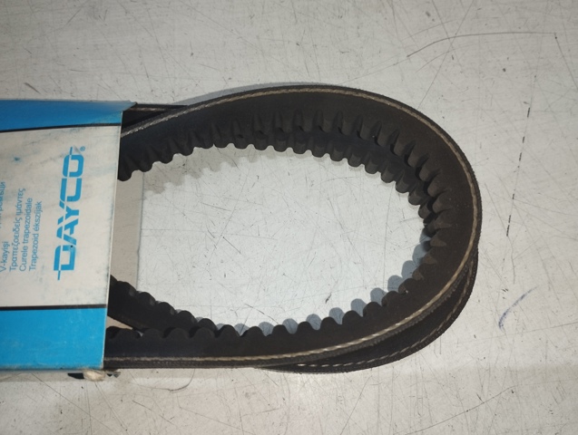 13A1175C Dayco Correa poly v