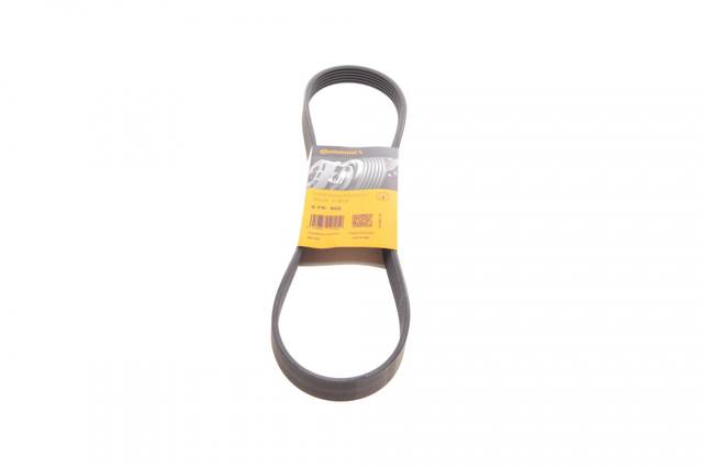 Correa accesorios Continental/Siemens 6PK955