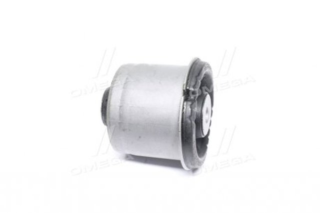CVKH202 CTR Silentblock del puente trasero