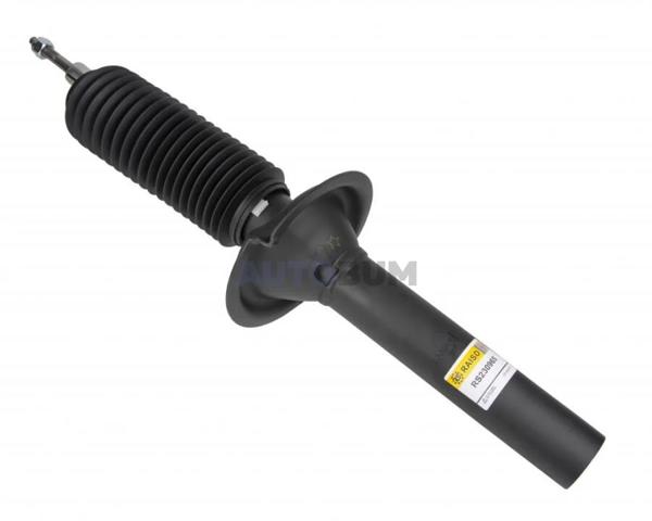 Amortiguadores Raiso RS230965 precio, desde 63,13 EUR
