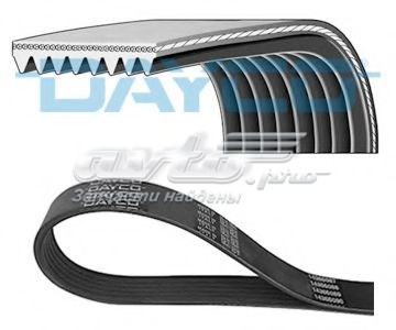 8PK1015HD Dayco