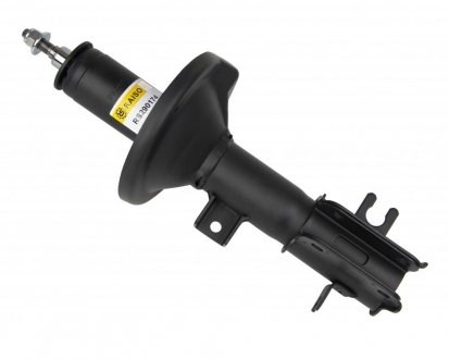 Amortiguador delantero derecho Raiso RS290174 precio, desde 51,39 EUR