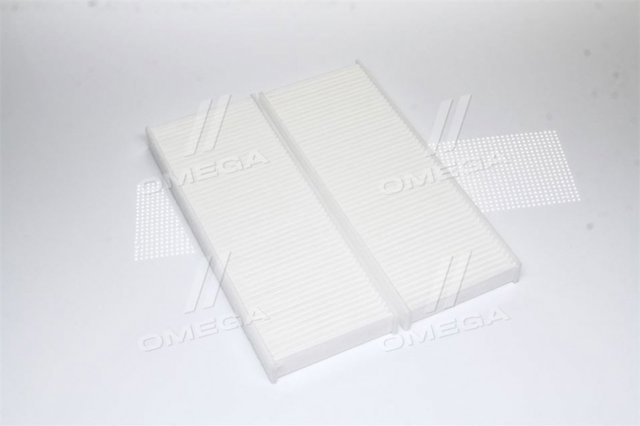 21NSNS9 Ashika Filtro antipolen