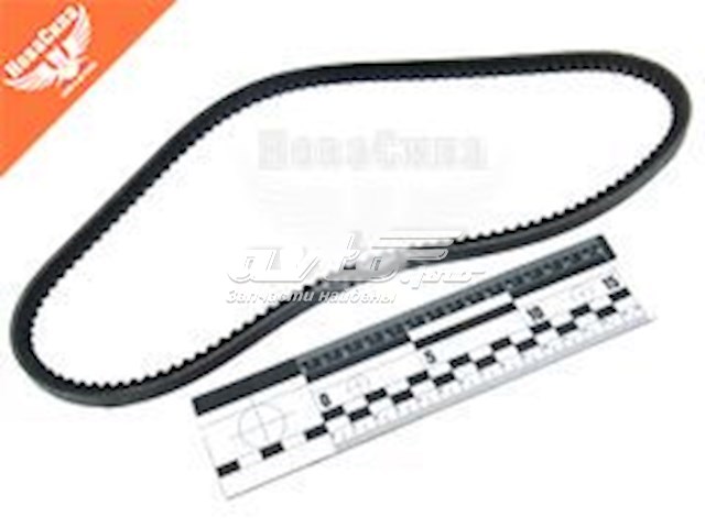 Correa de alternador 10A0813C Dayco