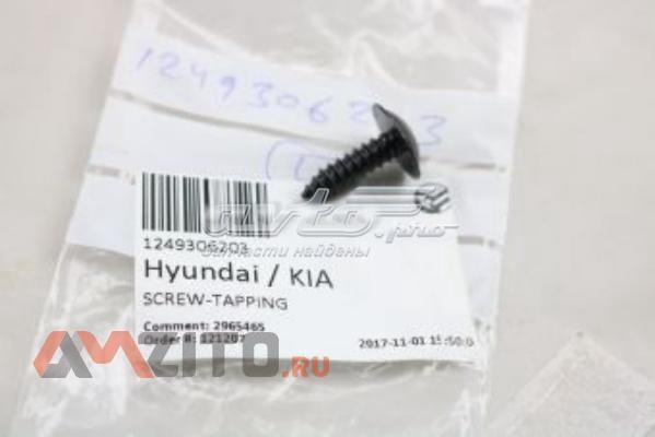 1249306203 Hyundai/Kia