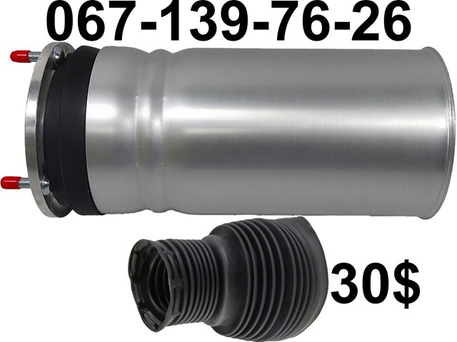 Amortiguador eje delantero izquierda Land Rover LR045101