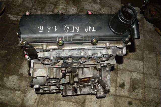 BFQ VAG Motor completo