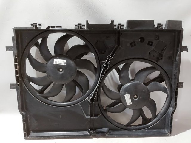 Ventilador, refrigeración motor Peugeot/Citroen 1671896380 precio, desde 157,73 EUR
