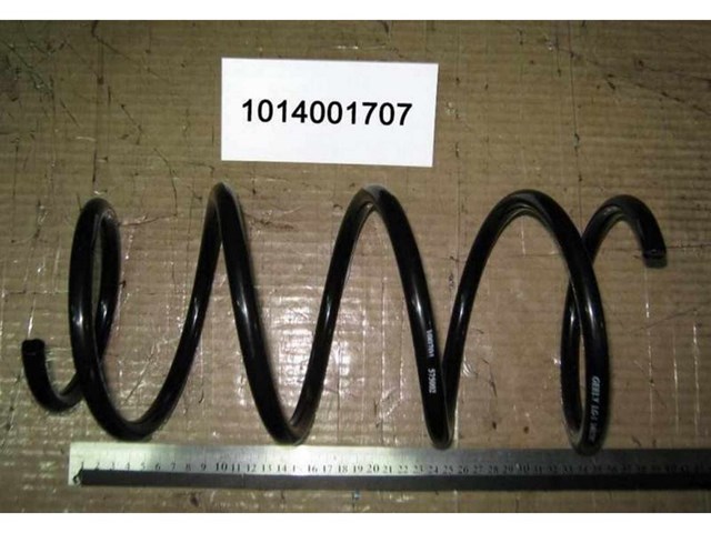 1014001707 Geely Muelle delantero