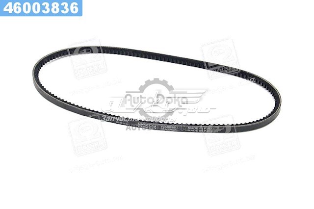 Correa de alternador 10A0888C Dayco
