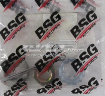 Comprar BSG30471003 BSG Tuerca del cubo de la rueda delantera