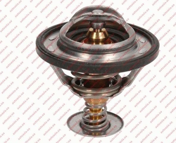 Termostato 1023779300 BYD