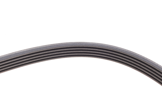 Correa accesorios Continental/Siemens 5PK1546