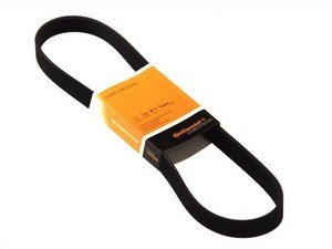6PK869 Continental/Siemens Correa poly v