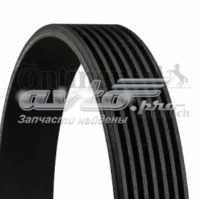 Correa de alternador 7PK1952 Dayco