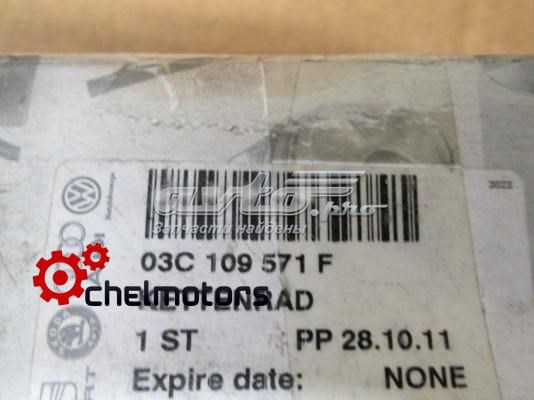 Ajustador árbol de levas  VAG 03C109571F precio, desde 61,65 USD