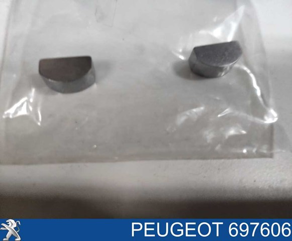 Llave para cigueñal PEUGEOT 697606