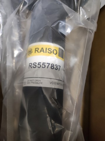 Amortiguadores Raiso RS557837 precio, desde 40,66 EUR
