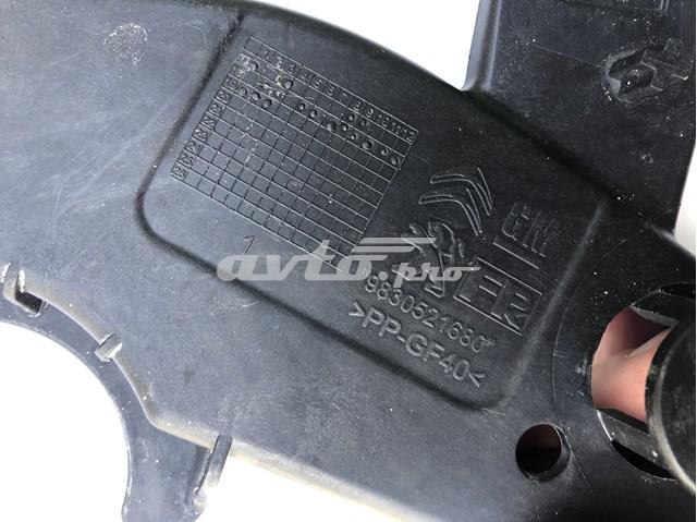 Soporte de panel frontal derecho Peugeot/Citroen 9830521680 precio, desde 74,48 EUR
