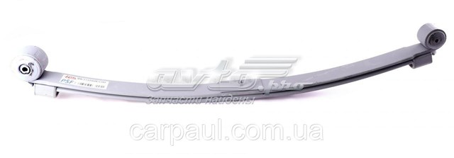 Ballesta de suspensión trasera BK315560EC0019ZT TES