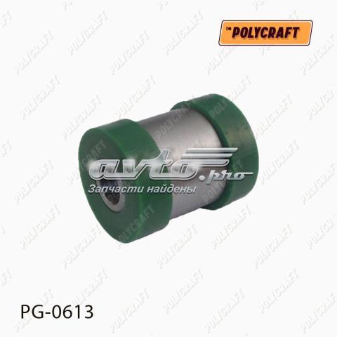 PG0613 Polycraft