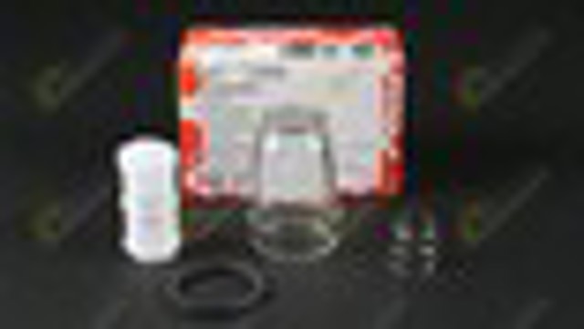 08754 Febi Filtro de gasolina