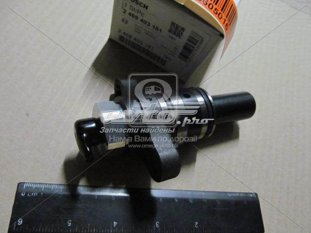 2469403181 Bosch Elemento de émbolo de la bomba de inyección