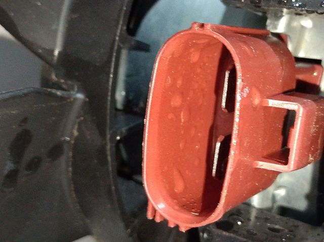 Comprar 2645146 Ford Ventilador de radiador