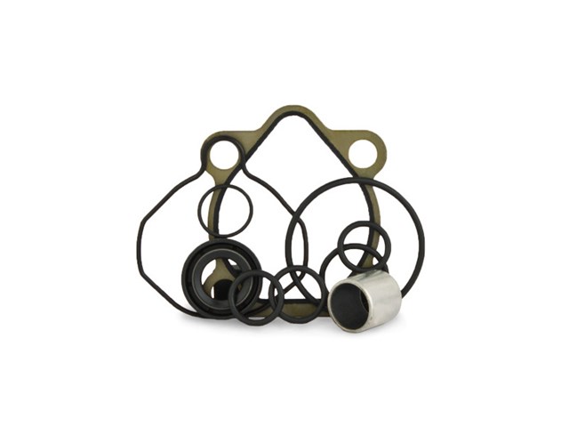 AU8001KIT MSG Juego de reparación, bomba de dirección hidráulica
