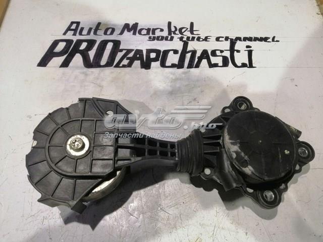 V759883280 Peugeot/Citroen Tensor de correa de alternador