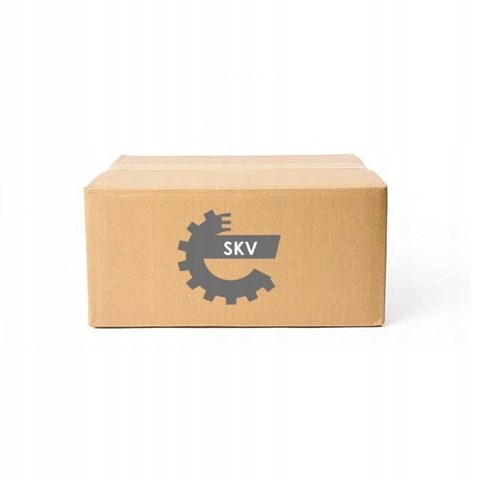 58SKV018 SKV