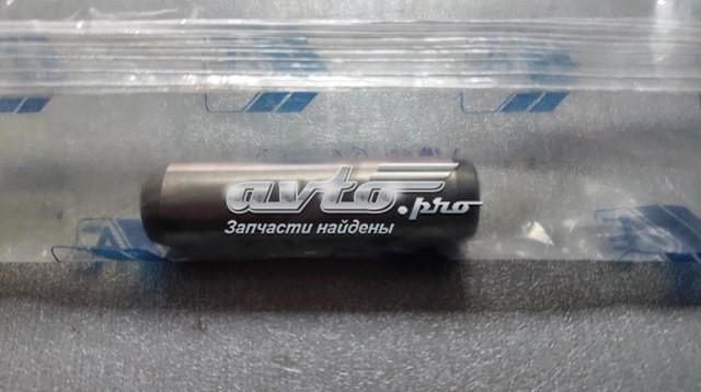 AE VAG Motor completo