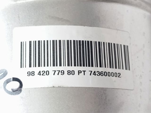  Peugeot/Citroen 9834313080 precio, desde 528,53 EUR