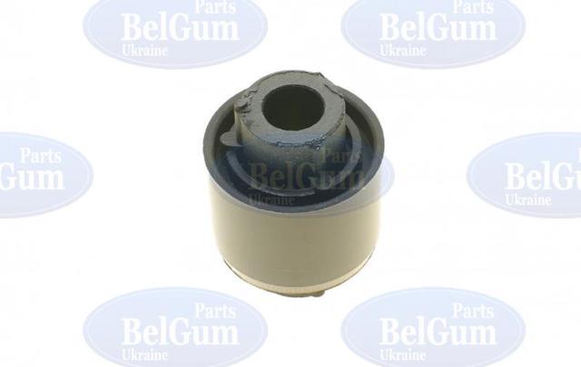 Buje de mangueta trasera Belgum BG2266