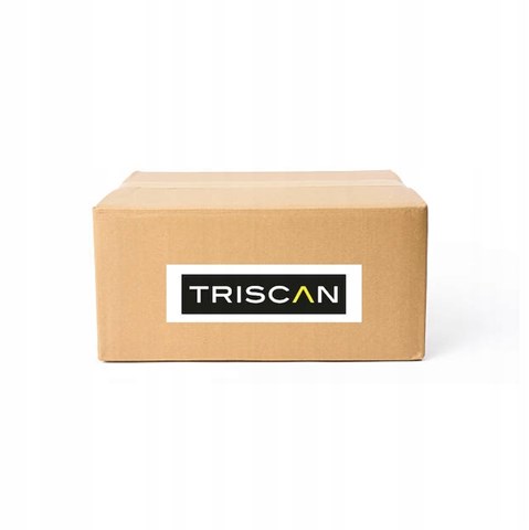 814050701 Triscan