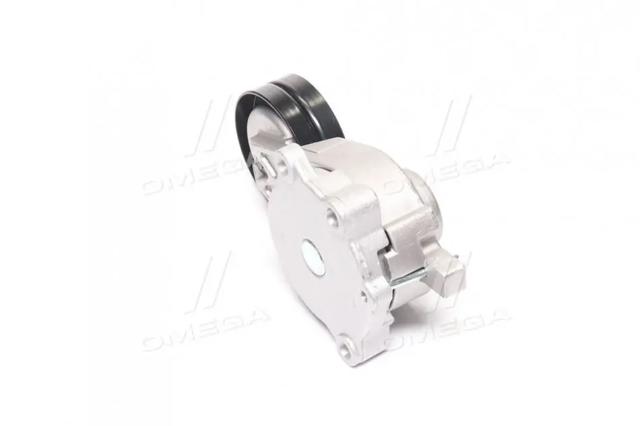 Tensor de correa poli V RDA118111200AB Rider