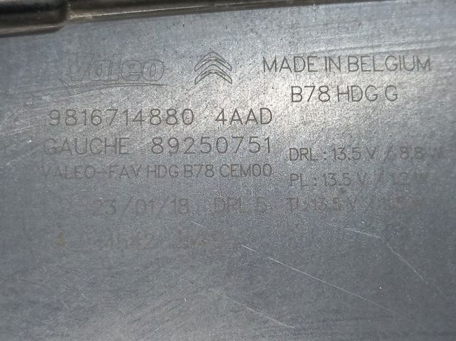 9816714880 Peugeot/Citroen 