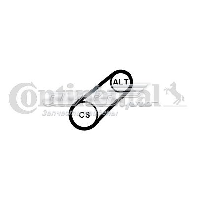 6PK701ELAST Continental/Siemens correa trapezoidal