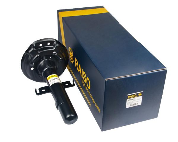 Amortiguador delantero Renault (RVI) 543025451R