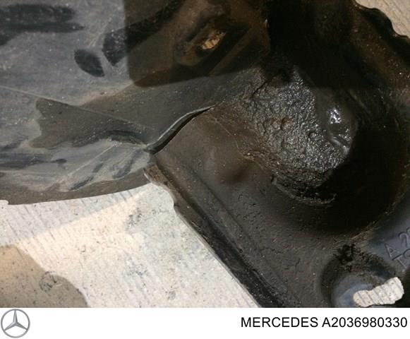 A2036980330 Mercedes guardabarros interior, aleta trasera, izquierdo