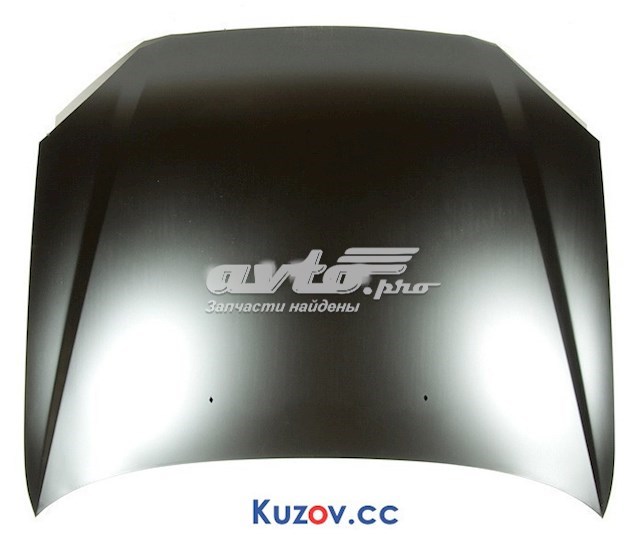Capó del motor FPS FP1705280 precio, desde 204,48 EUR