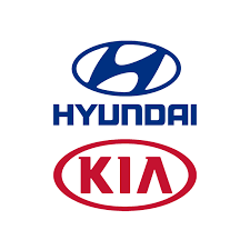 Tensor de cadena de distribución 244102E300 Hyundai/Kia