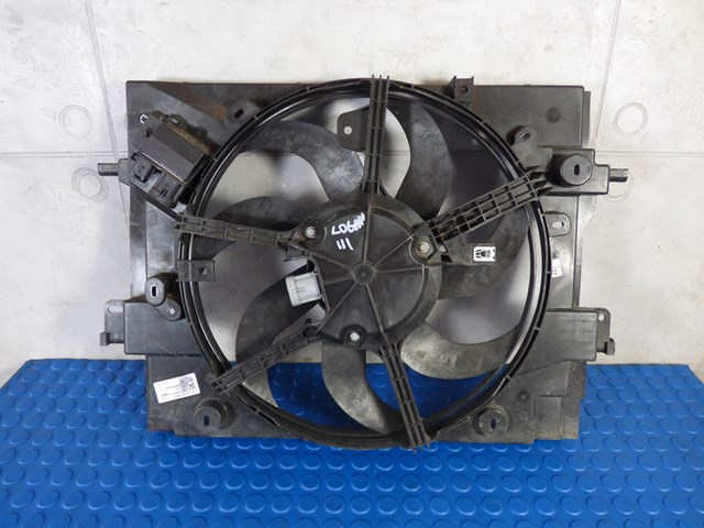 214813977R Renault (RVI)