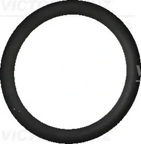 Junta (anillo) de la manguera de retorno de refrigeración de la turbina 407632510 Victor Reinz