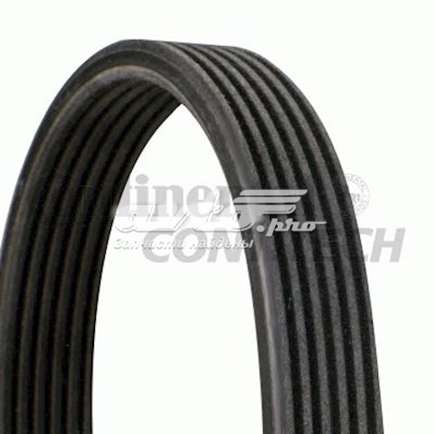 Comprar 6DPK1352 Continental/Siemens Correa trapezoidal