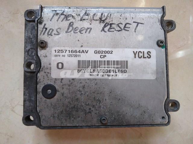 Módulo de control del motor General Motors 12572011