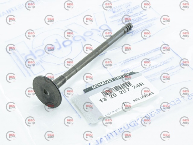 Válvula de escape Renault (RVI) 132025724R precio, desde 34,76 EUR