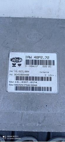 9645989480 Peugeot/Citroen Centralina Del Motor