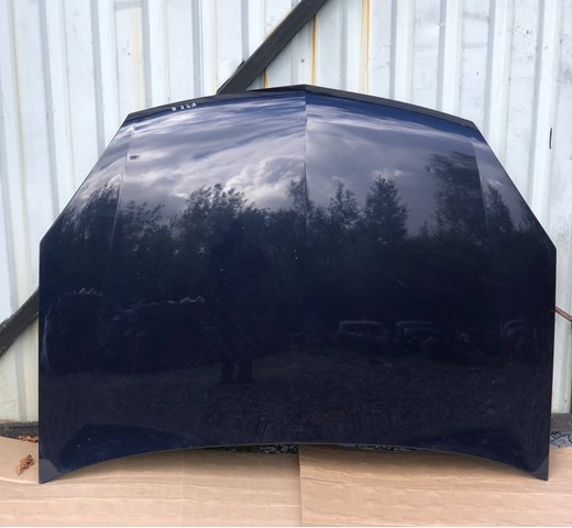 Comprar 93183981 General Motors Capó